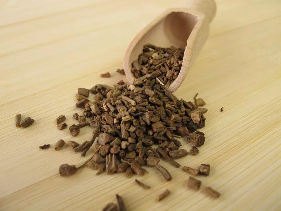 Why Valerian Root Is the Best Natural Remedy for Stress and Sleep Disorders